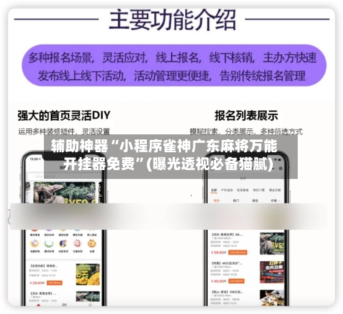 辅助神器“小程序雀神广东麻将万能开挂器免费”(曝光透视必备猫腻)-第2张图片
