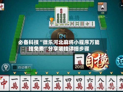 必备科技“微乐河北麻将小程序万能挂免费	”分享装挂详细步骤-第2张图片