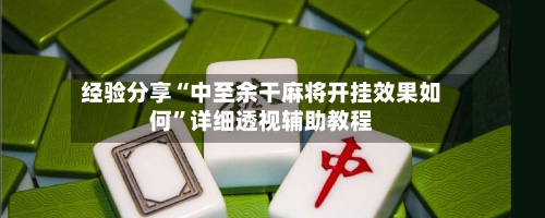 经验分享“中至余干麻将开挂效果如何”详细透视辅助教程-第3张图片