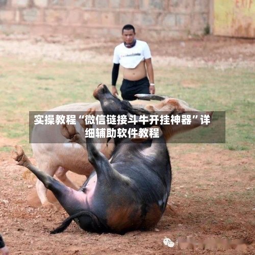 实操教程“微信链接斗牛开挂神器	”详细辅助软件教程-第2张图片