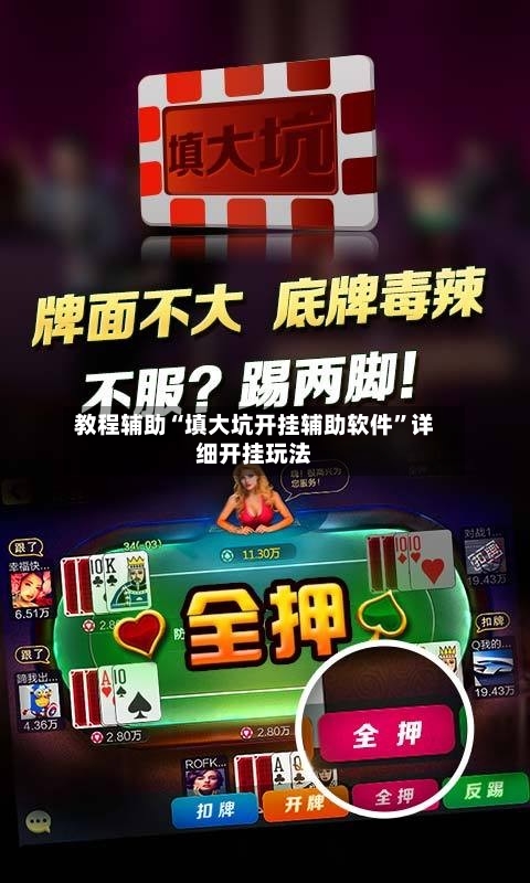 教程辅助“填大坑开挂辅助软件	”详细开挂玩法-第2张图片