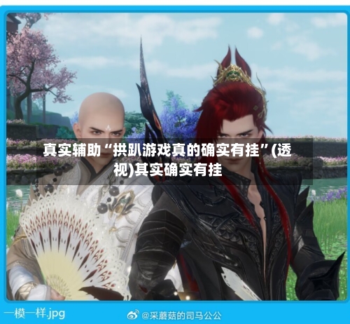 真实辅助“拱趴游戏真的确实有挂	”(透视)其实确实有挂-第2张图片