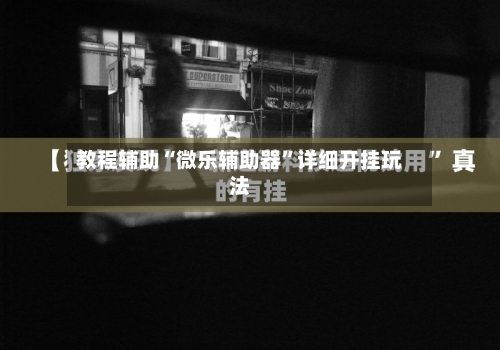 教程辅助“微乐辅助器”详细开挂玩法