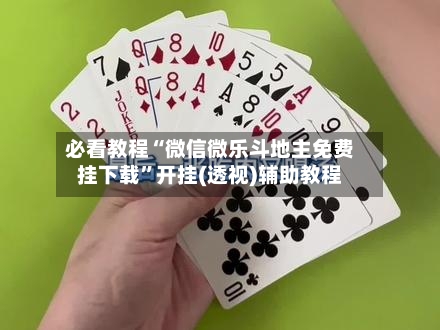 必看教程“微信微乐斗地主免费挂下载”开挂(透视)辅助教程-第3张图片