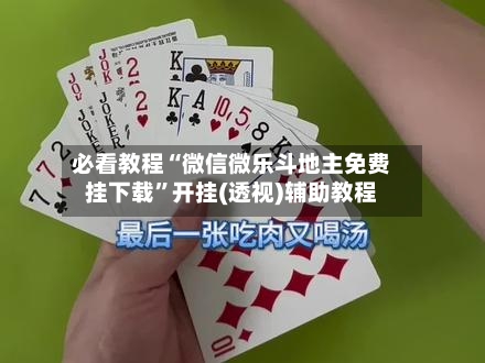必看教程“微信微乐斗地主免费挂下载	”开挂(透视)辅助教程-第2张图片