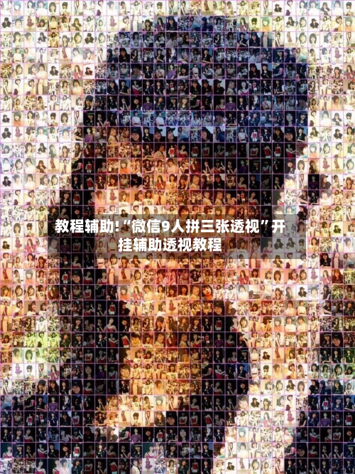 教程辅助!“微信9人拼三张透视”开挂辅助透视教程-第3张图片