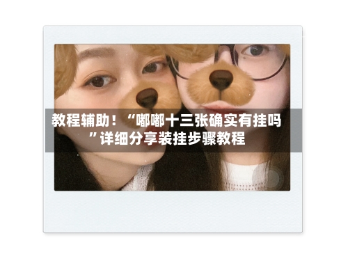 教程辅助！“嘟嘟十三张确实有挂吗”详细分享装挂步骤教程-第2张图片