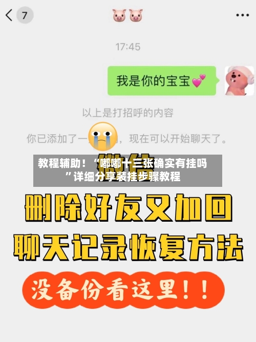 教程辅助！“嘟嘟十三张确实有挂吗	”详细分享装挂步骤教程-第3张图片