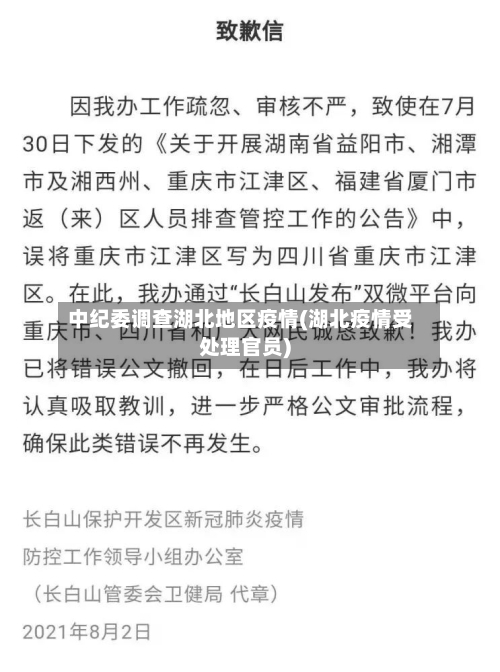 中纪委调查湖北地区疫情(湖北疫情受处理官员)-第2张图片