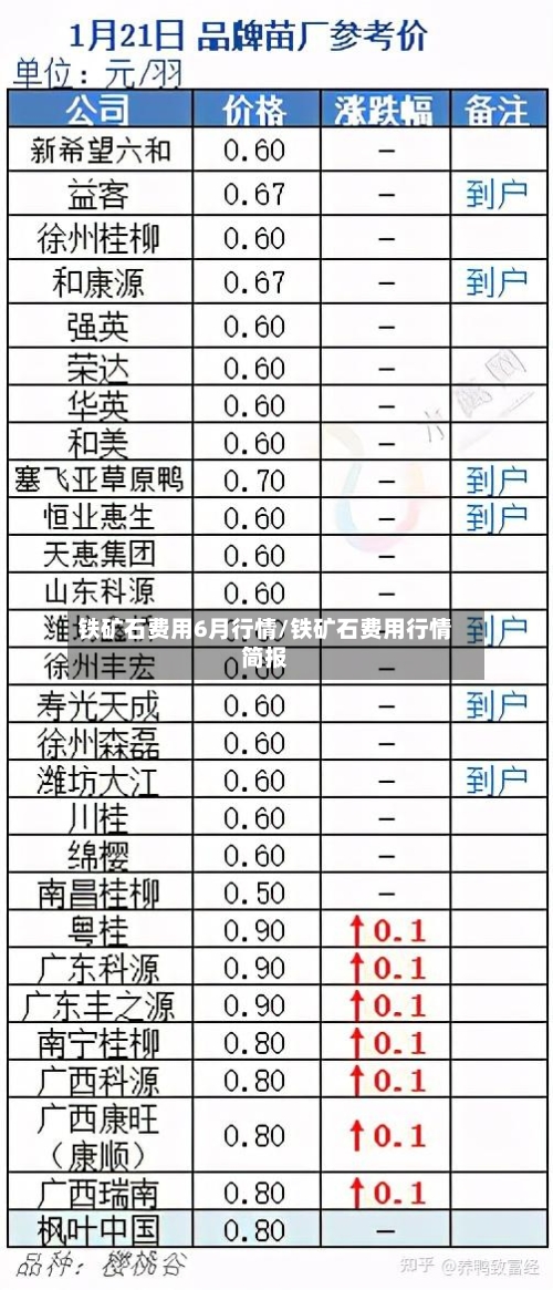铁矿石费用6月行情/铁矿石费用行情简报