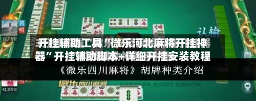开挂辅助工具“微乐河北麻将开挂神器”开挂辅助脚本+详细开挂安装教程-第3张图片
