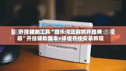 开挂辅助工具“微乐河北麻将开挂神器”开挂辅助脚本+详细开挂安装教程-第2张图片