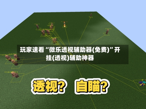玩家速看“微乐透视辅助器(免费)	”开挂(透视)辅助神器-第2张图片