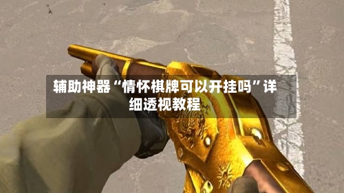 辅助神器“情怀棋牌可以开挂吗”详细透视教程-第3张图片