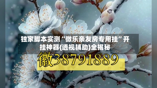 独家脚本实测“微乐亲友房专用挂	”开挂神器{透视辅助}全揭秘-第2张图片