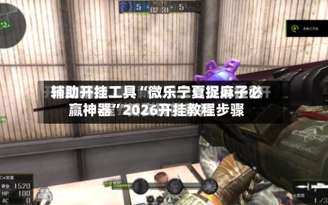 辅助开挂工具“微乐宁夏捉麻子必赢神器”2026开挂教程步骤-第2张图片