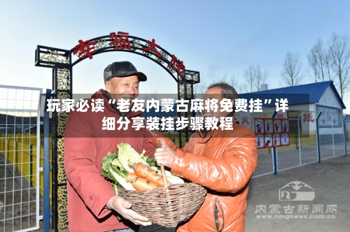 玩家必读“老友内蒙古麻将免费挂	”详细分享装挂步骤教程-第2张图片