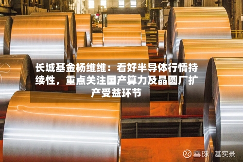 长城基金杨维维：看好半导体行情持续性	，重点关注国产算力及晶圆厂扩产受益环节-第2张图片