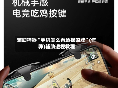 辅助神器“手机怎么看透视的牌”(作弊)辅助透视教程-第3张图片