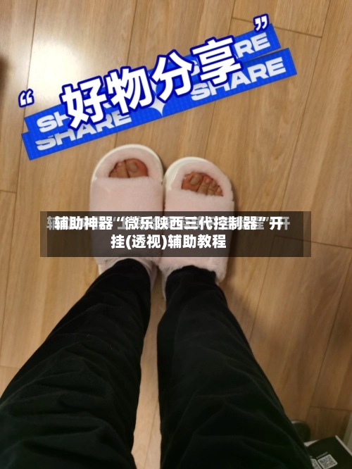 辅助神器“微乐陕西三代控制器”开挂(透视)辅助教程