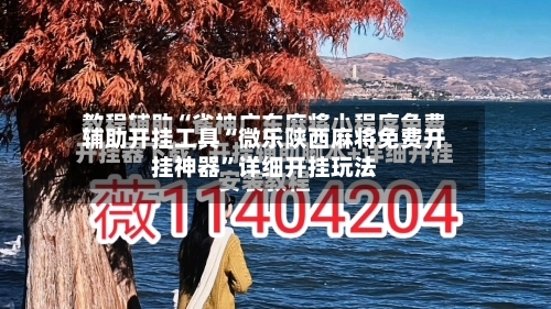 辅助开挂工具“微乐陕西麻将免费开挂神器”详细开挂玩法-第2张图片