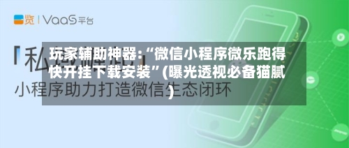 玩家辅助神器:“微信小程序微乐跑得快开挂下载安装”(曝光透视必备猫腻)-第2张图片