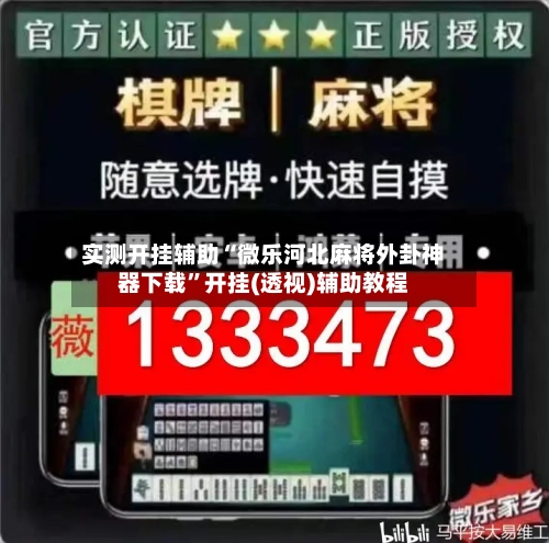 实测开挂辅助“微乐河北麻将外卦神器下载”开挂(透视)辅助教程-第2张图片