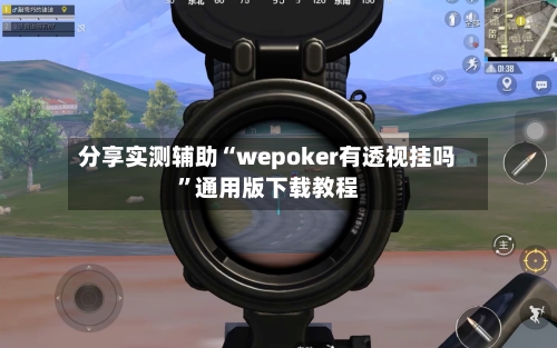 分享实测辅助“wepoker有透视挂吗	”通用版下载教程-第2张图片