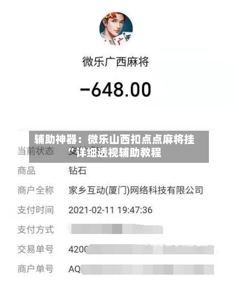 辅助神器：微乐山西扣点点麻将挂”详细透视辅助教程-第2张图片