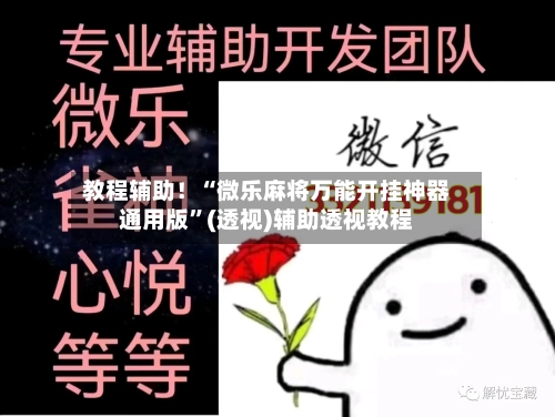 教程辅助！“微乐麻将万能开挂神器通用版”(透视)辅助透视教程-第3张图片