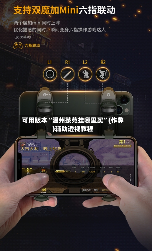 可用版本“温州茶苑挂哪里买	”(作弊)辅助透视教程-第2张图片