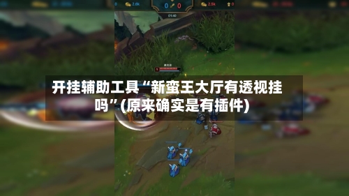 开挂辅助工具“新蛮王大厅有透视挂吗”(原来确实是有插件)-第3张图片