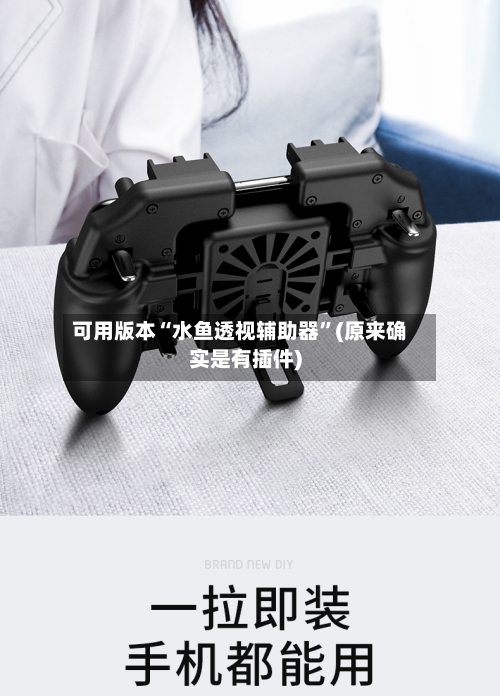 可用版本“水鱼透视辅助器	”(原来确实是有插件)-第2张图片