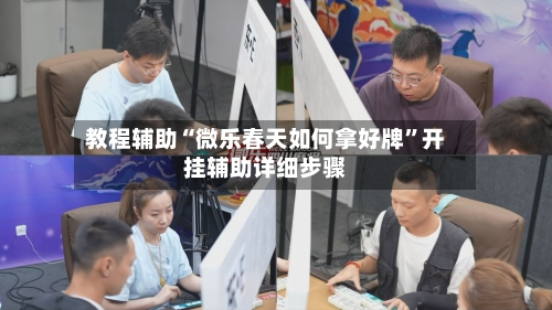 教程辅助“微乐春天如何拿好牌”开挂辅助详细步骤-第2张图片