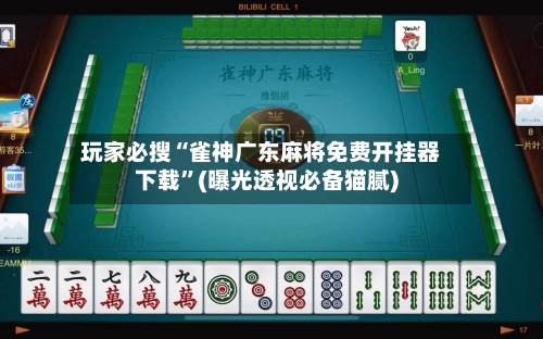 玩家必搜“雀神广东麻将免费开挂器下载”(曝光透视必备猫腻)-第3张图片
