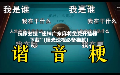 玩家必搜“雀神广东麻将免费开挂器下载”(曝光透视必备猫腻)-第2张图片