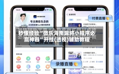 秒懂经验“微乐海南麻将小程序必赢神器”开挂(透视)辅助教程-第2张图片