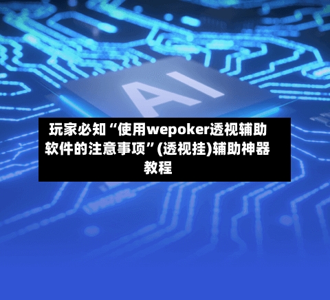 玩家必知“使用wepoker透视辅助软件的注意事项	”(透视挂)辅助神器教程-第2张图片