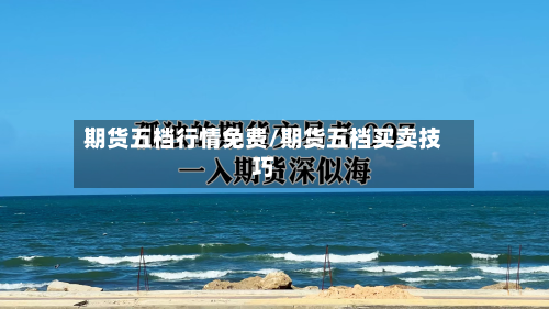 期货五档行情免费/期货五档买卖技巧-第3张图片