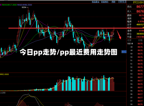 今日pp走势/pp最近费用走势图