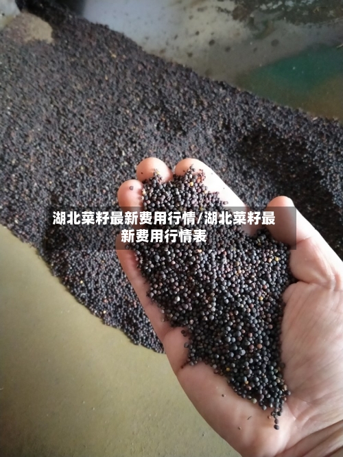 湖北菜籽最新费用行情/湖北菜籽最新费用行情表-第2张图片