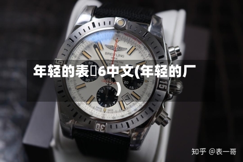 年轻的表妺6中文(年轻的厂)-第2张图片