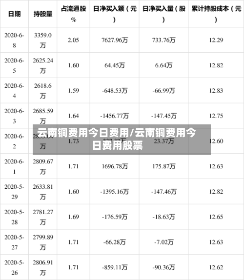 云南铜费用今日费用/云南铜费用今日费用股票-第1张图片