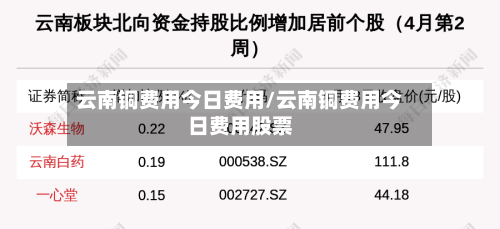 云南铜费用今日费用/云南铜费用今日费用股票-第3张图片