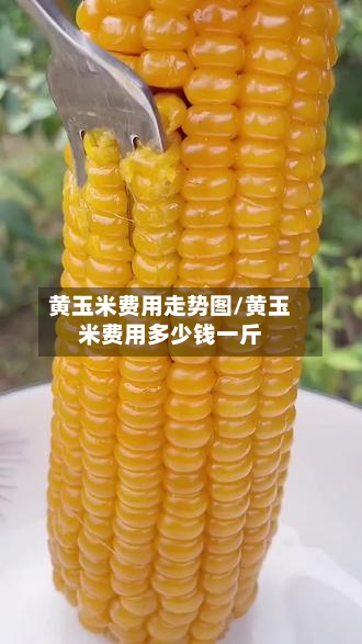黄玉米费用走势图/黄玉米费用多少钱一斤