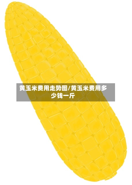 黄玉米费用走势图/黄玉米费用多少钱一斤-第2张图片