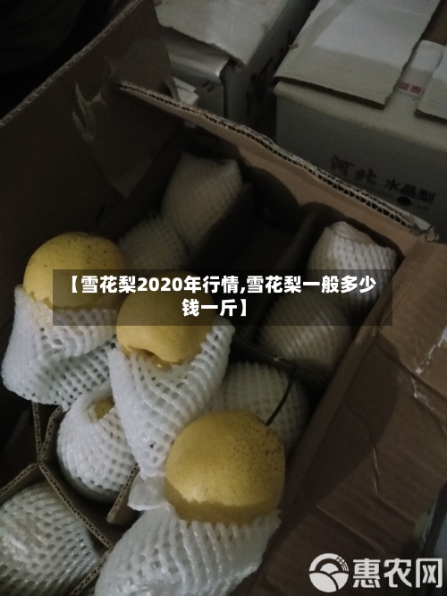 【雪花梨2020年行情,雪花梨一般多少钱一斤】
