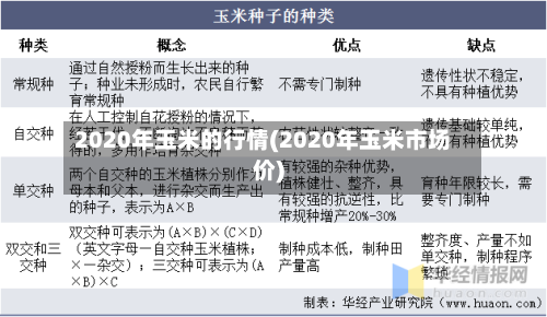 2020年玉米的行情(2020年玉米市场价)