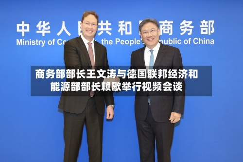 商务部部长王文涛与德国联邦经济和能源部部长赖歇举行视频会谈-第3张图片