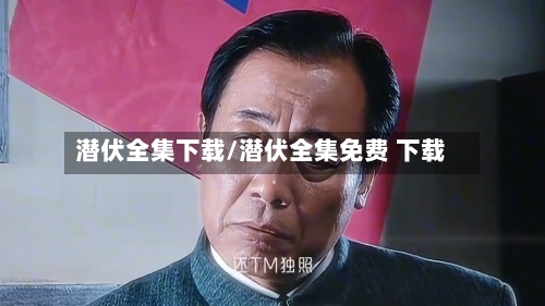 潜伏全集下载/潜伏全集免费 下载-第2张图片